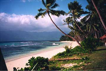 Ίχνη του Ροβινσώνα Κρούσου βρέθηκαν σε ερημονήσι του Ειρηνικού