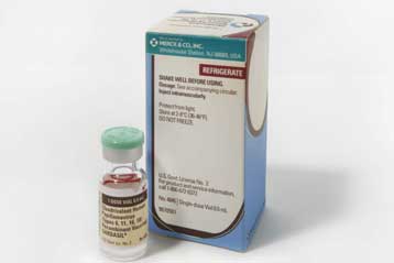 Το εμβόλιο για τον καρκίνο του τραχήλου της μήτρας χρήσιμο και στους άνδρες