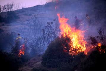 Mεγάλη πυρκαγιά στο προστατευόμενο δάσος της Στροφυλιάς