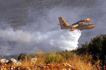 Υπό μερικό έλεγχο η φωτιά στο δάσος της Στροφυλιάς