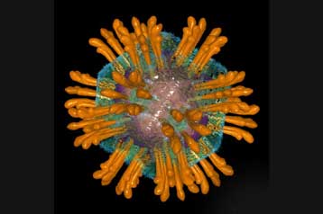 Πειραματικό φάρμακο ελπιδοφόρο κατά της ηπατίτιδας C