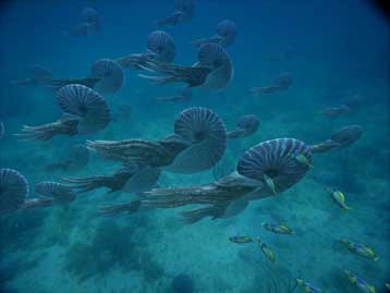 Ψηφιακές καταδύσεις στον ξεχασμένο κόσμο των θαλάσσιων πλασμάτων από το Πλανητάριο