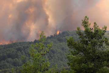 Υπό μερικό έλεγχο η φωτιά στο Πετρόβουνο του Αγίου Όρους