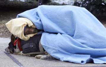 Λύσεις για τη ραγδαία αύξηση των αστέγων στις ΗΠΑ καλείται να βρει ο Ομπάμα