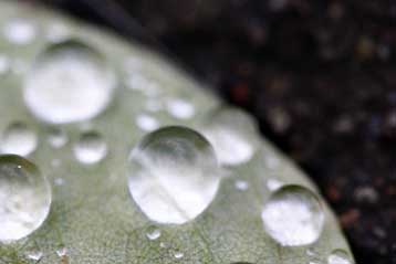 Τίποτα δεν βρωμίζει το «παντόφοβο» υλικό του MIT