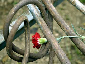 Mέτρα της Τροχαίας για την 35η επέτειο του Πολυτεχνείου