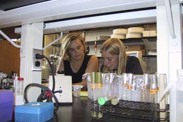 Πείραμα αποκαλύπτει πώς η χλωρίνη σκοτώνει τα μικρόβια