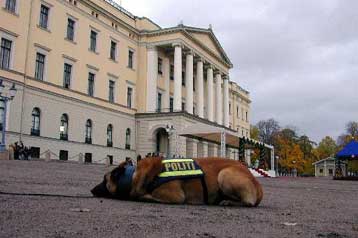 Πρωτοφανής διάρρηξη στο αρχηγείο της Αστυνομίας στη Νορβηγία