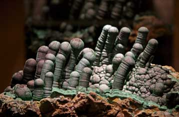 Η ζωή άλλαξε την ίδια τη σύσταση του πλανήτη