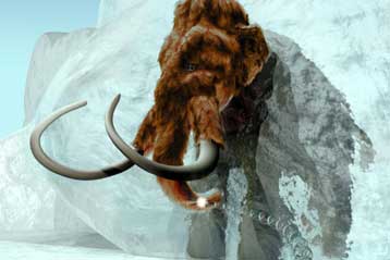 Ο πρώτος γενετικός χάρτης του τριχωτού μαμούθ