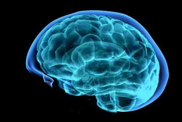 Έρευνα συνδέει την επιληψία με δυσλειτουργία του ανοσοποιητικού συστήματος