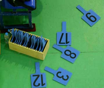 Τα… φώτα στη Θεσσαλονίκη για Α1 ανδρών και γυναικών βόλεϊ