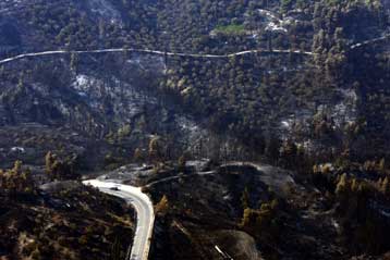 Δραματική η κατάσταση στις πυρόπληκτες περιοχές, καταγγέλλει το ΠΑΣΟΚ