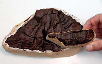 Νωρίτερα κατά έναν αιώνα τοποθετείται η έκρηξη του ηφαιστείου της Σαντορίνης