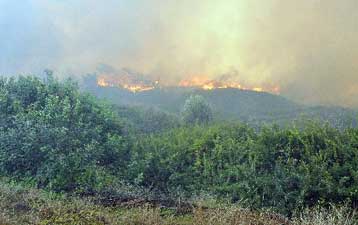 Κλειστός ο αρχαιολογικός χώρος της Αρχαίας Καμείρου