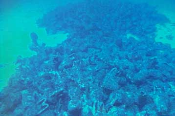 Θησαυρός εργαλείων της πρώιμης εποχής του Χαλκού βρέθηκε στη Ροδόπη