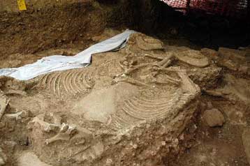 Καλά κρυμμένα μυστικά αποκαλύπτει το λεύκωμα «Αρχαιολογία – Εύβοια και Στερεά»