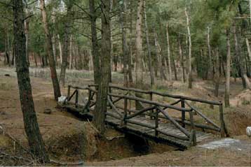 Η Ελλάδα υστερεί στην απορρόφηση κονδυλίων για περιβαλλοντικά έργα