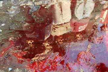 Σε τζιχάντ για τη Γάζα καλεί ο Οσάμα μπιν Λάντεν