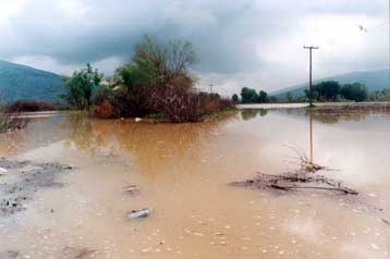 Πλημμύρες σε αγροτικές εκτάσεις του νομού Τρικάλων