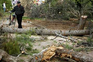 Μήνυση για την κοπή των δέντρων στο πάρκο στην Πατησίων κατέθεσε η Διεύθυνση Δασών
