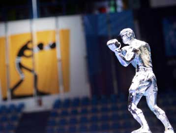 Οργή στην πυγμαχία για τον αποκλεισμό της Ομοσπονδίας από τις αρχαιρεσίες της ΕΟΕ