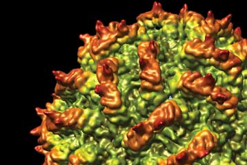 Πειραματικό εμβόλιο προστατεύει από πολλούς τύπους γρίπης