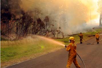Σαράντα νεκροί από τον χειρότερο καύσωνα του τελευταίου αιώνα στην Αυστραλία