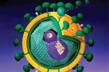 Κολπικό τζελ ίσως προσφέρει μερική προστασία από τον HIV