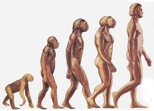 Γενετική «έκρηξη» διαχώρισε τους πιθήκους από τους ανθρώπους