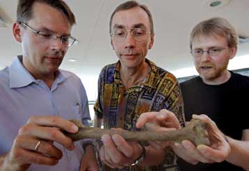 Προσδιορίστηκε το πλήρες γονιδίωμα του ανθρώπου του Νεάντερταλ