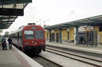 Αναστάτωση στη σιδηροδρομική γραμμή Αθήνας-Θεσσαλονίκης λόγω ενός… μοσχαριού