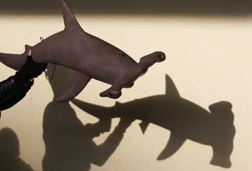 Μέτρα για την προστασία των καρχαριών προτείνει η Κομισιόν