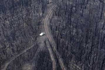 Εκατόμβη αφήνουν πίσω τους οι πυρκαγιές στην Αυστραλία
