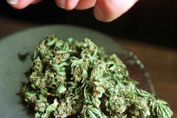 Η κάνναβη «αυξάνει τον κίνδυνο καρκίνου των όρχεων»