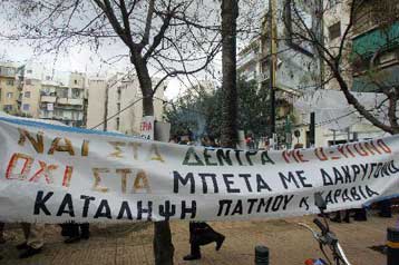 Μνημόνιο για περιορισμό της κοπής δέντρων υπέγραψαν δήμοι και κοινότητες Αν.Αττικής