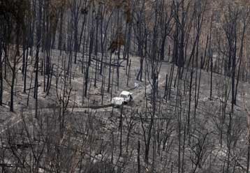 Περισσότερους από 180 νεκρούς μετρά η Αυστραλία από τις φονικές πυρκαγιές