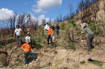 Δενδροφύτευση στην Αρχαία Ολυμπία το Σαββατοκύριακο