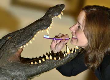 Γονίδιο του σμάλτου των δοντιών υπόσχεται φρέσκα χαμόγελα