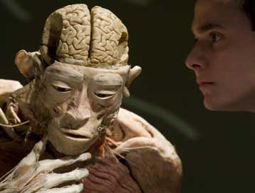 Έρευνα για τη νομιμότητα της έκθεσης «Bodies» διενεργεί η πολωνική Δικαιοσύνη