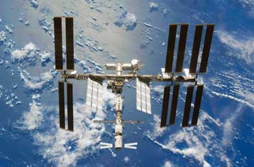 Κουνούπι «επέζησε στο Διάστημα για ενάμισι χρόνο»