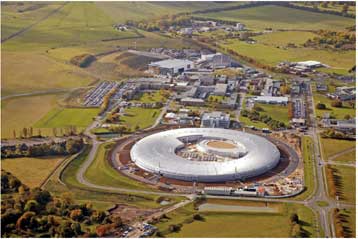 Ψάρι 300 εκατ. ετών έκρυβε τον αρχαιότερο απολιθωμένο εγκέφαλο