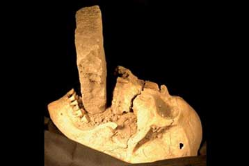 Σκελετός «βρυκόλακα» ήρθε στο φως στη Βενετία