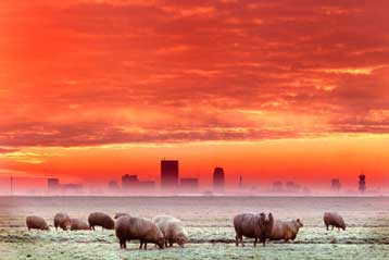 Η ρύπανση συνεχίζει να σκοτεινιάζει τους ουρανούς του πλανήτη