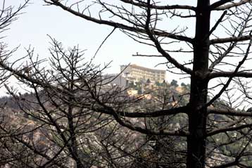 Κτηματογραφούνται περιοχές σε Αττική και Βοιωτία με εκτάσεις από την καμένη Πάρνηθα