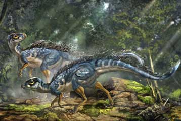 Απολίθωμα στην Κίνα κάνει την εξέλιξη των δεινόσαυρων «φτερά και πούπουλα»