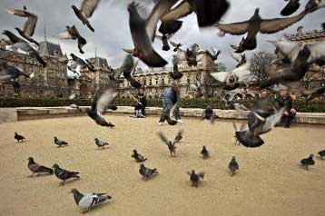 Συμπλοκές στο Παρίσι για το «όχι» του Πάπα στο προφυλακτικό στην Αφρική