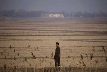 Απάντηση στη Β.Κορέα και διατήρηση του διαλόγου επιδιώκει η διεθνής κοινότητα