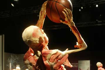 Το κλείσιμο της έκθεσης «Bodies» ζητά η γαλλική δικαιοσύνη