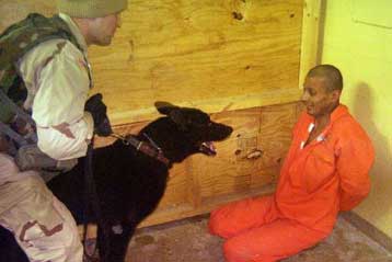 Η πολιτική του Μπους «γέννησε» το κολαστήριο Αμπού Γκράιμπ